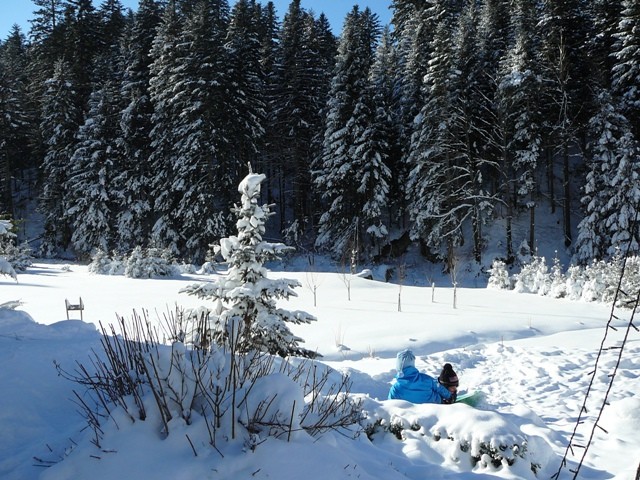 Gorski kotar